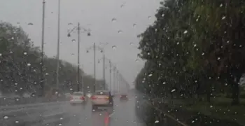 عام وأزهر.. تعطيل الدراسة غدا الخميس في القليوبية