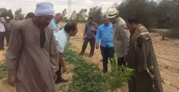 نائب رئيس جامعة المنيا يزور مركز التجارب والبحوث الزراعية (صور)
