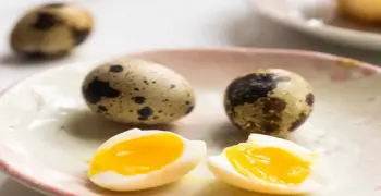 وزن بيض السمان بالجرام مع معلومات عنه