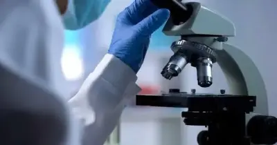 أسعار كلية العلوم الأساسية والدقيقة في الجامعات الأهلية 2026 2027.. المعتمد رسميا