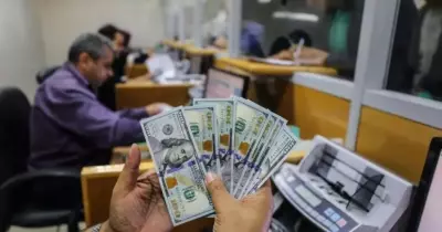 رابط فحص المنحة القطرية 100 دولار للاسر الفقيرة لأهالي قطاع غزة