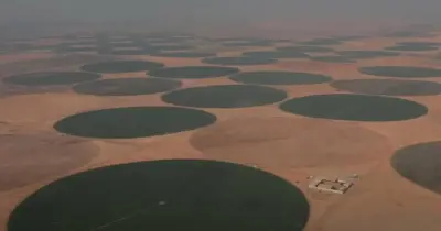 رقم يصل للمليارات.. تكلفة مشروع الدلتا الجديدة واستعراض السيسي بنيته التحتية