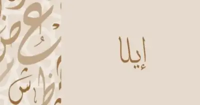 معنى اسم إلا في اللغة العربية وكيفية كتابته بالإنجليزية