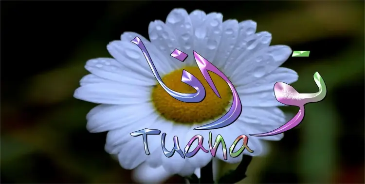  ما معنى اسم توانا 