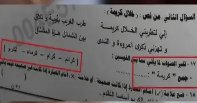 «كرائم أم أكارم؟».. جمع كلمة كريمة تضع طلاب الصف الثالث الإعدادي بالمنوفية  في حيرة