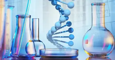 مراجعة سريعة ومكثفة كيمياء لغات تالتة ثانوي 2026