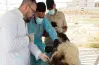تنسيق كلية الطب البيطري في الجامعات الخاصة 2026 2027
