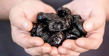 البرقوق مجفف.. يحارب السمنة ويعالج الهضم وله فوائد أخرى