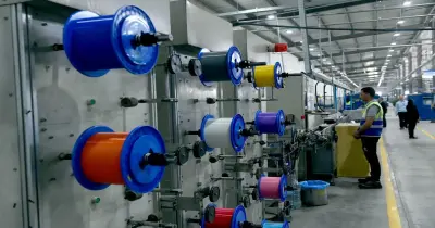وظائف وزارة العمل بالسويس 2026.. الرابط الرسمي للتقديم في التخصصات المطلوبة