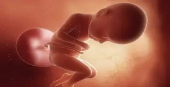 بعد ولادة ابنه صانع محتوي بدون أنف.. شروط إجهاض الجنين من الناحية الشرعية