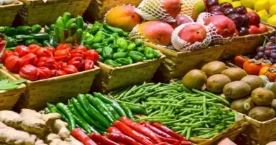 4.6 مليون طن حجم الصادرات الزراعية في مصر