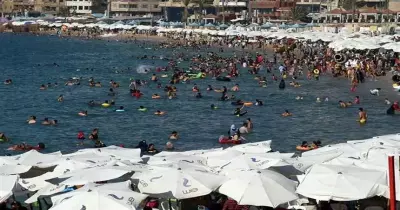 تحديد أسعار خدمات الشواطئ بالإسكندرية لمحاربة جشع العمال.. الشماسي والكراسي وحمامات مجانية
