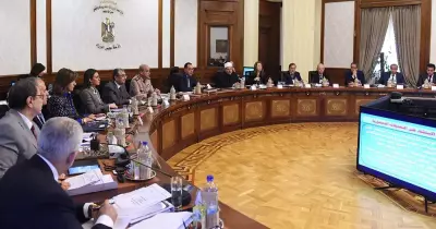 الحكومة توفر أراض للشباب في الصعيد