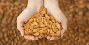 السعرات الحرارية في الطعام.. أكثرها في المكسرات