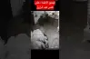 فيديو التعدي على هدير عبد الرازق.. من المعتدي؟
