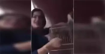 الحبس 3 سنوات لسيدة تحرشت بـ«قرد»