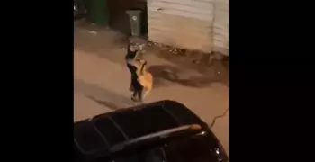 بالفيديو.. فتاة كويتية تلقي القبض على أسد هارب