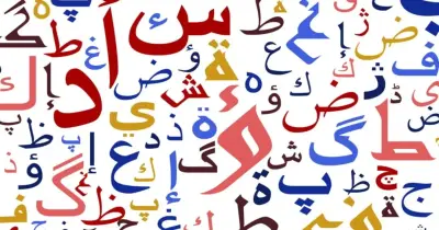 مذكرة القواعد النحوية والإملاء للصف الثاني الابتدائي الترم الأول 2027.. دليلك للتميز