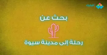 بحث عن رحلة إلى مدينة سيوة