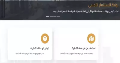 خدمات بوابة الاستثمار الأجنبي.. كيف يستفيد منها المصريون بالخارج؟