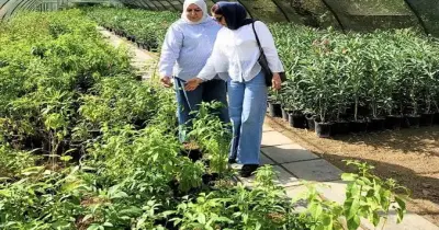 توقعات تنسيق الهندسة الزراعية الأزهر 2026 2027 بنين.. بديل استراتيجي لطلاب القسم العلمي