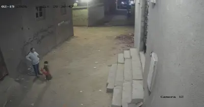 فيديو الاعتداء على أب وابنه بخرطوش في القليوبية يهز السوشيال ميديا.. «ضرب وبلطجة»