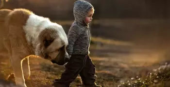 شعر عن الوفاء.. «وفي بعض الوفاء مذلة»