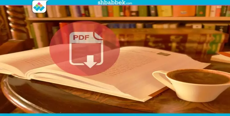  للقراء.. «الدولار +18» فماذا سيحدث في صراع الكتب الورقية والـ«PDF» 