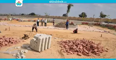 إنشاء «لاند سكيب» بجامعة كفر الشيخ (صور)