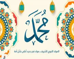 هل المولد النبوي بدعة؟.. إجابة دار الإفتاء النهائية