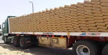 شاهد أغبى تاجر مخدرات في مصر.. ركن نصف طن بانجو أمام قسم شرطة
