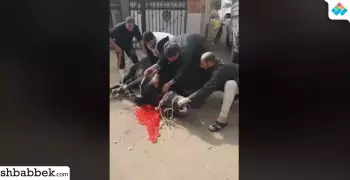 لمواجهة الغلاء.. شباب قرية بالشرقية يبيعون لحم بلدي بأسعار رمزية (فيديو)