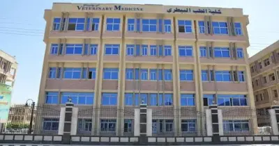 أسعار كلية الطب البيطري في الجامعات الأهلية 2026 2027.. طالع قائمة المصاريف