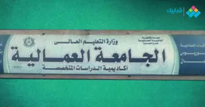 قرار وزير التعليم العالي بخصوص الجامعة العمالية 2020