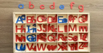 المتفوق إنجليزي الصف الرابع الابتدائي ترم أول 2026 مراجعة نهائية