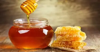 وجود عسل نحل مغشوش في الأسواق.. مجلس الوزراء يكشف الحقيقة