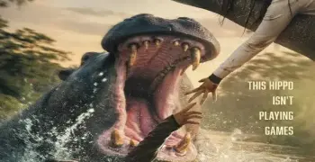 أماكن عرض فيلم hungry في مصر.. اعرف السينمات ومواعيد المشاهدة