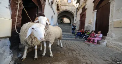 العيد الكبير 2026 يوم ايه؟.. موعد وقفة عرفات وأيام الإجازة