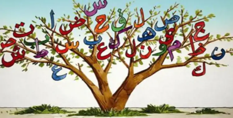  مراجعة قطر الندى للصف الثالث الابتدائى عربي أزهر شهري أكتوبر ونوفمبر 2026 