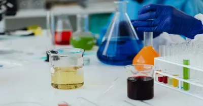 كليات العلوم المتاحة لطلاب علمي رياضة في المرحلة الثانية