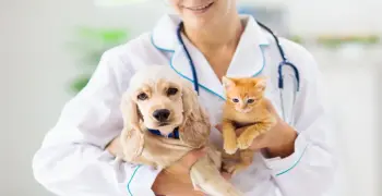 رابط تقديم مسابقة الأطباء البيطريين 2026 وطريقة التسجيل