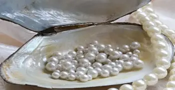 اللؤلؤ يقود صادرات مصر غير البترولية لقفزة قياسية في 3 اشهر