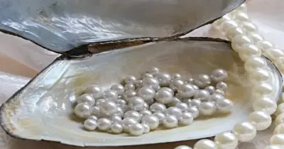 اللؤلؤ يقود صادرات مصر غير البترولية لقفزة قياسية في 3 اشهر