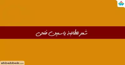 قصيدة «يا عبيط».. من مشاركات الطالبة ياسمين محمد فتحي