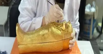 دعوة افتتاح المتحف المصري الكبير من المخمل الفاخر ومزخرفة بالذهب