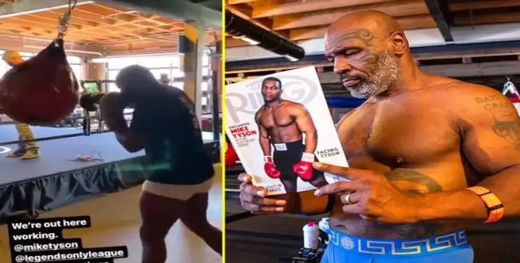  Mike Tyson يعود للنزال بسبب مخدر سم الضفدع..تعرف على أجره الضخم 