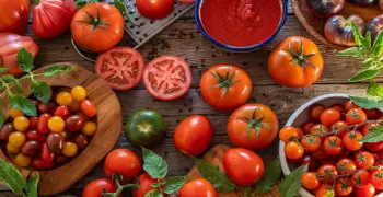 أسعار الطماطم اليوم الثلاثاء 19 أغسطس 2025.. ارتفاع ملحوظ