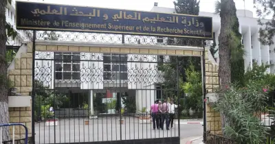 التخصصات المطلوبة لوظائف المجلس الأعلى للمراكز والمعاهد والهيئات البحثية 2026