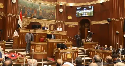 بعد موافقة «الشيوخ».. أبرز تعديلات قانون التأمينات الاجتماعية 2026