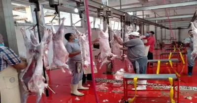 فتح المجازر مجانا لاستقبال الأضاحي طوال أيام العيد بجميع المحافظات
